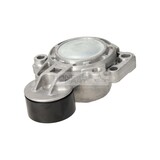 RIEMSPANNER IAM